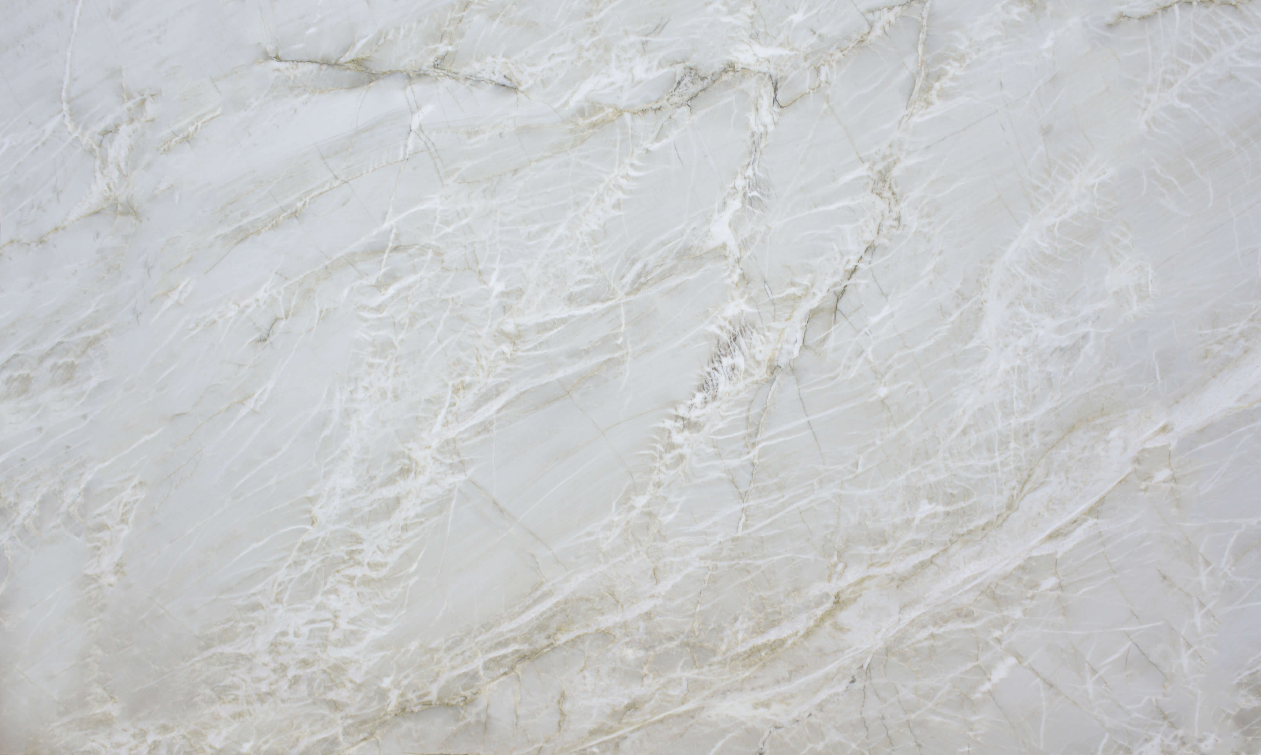 Le Blanc